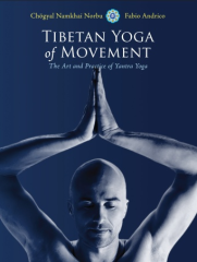 Tibetan Yoga of Movement: The Art and Practice of Yantra Yoga - Click Image to Close