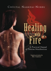 Healing With Fire: A Practical Manual of Tibetan Moxibustion - Click Image to Close