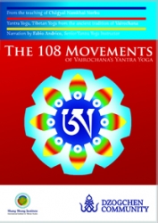 The 108 Movements of Yantra Yoga
