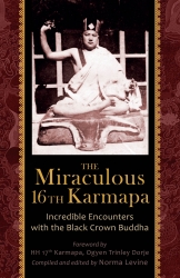 The Miraculous 16th Karmapa - Click Image to Close
