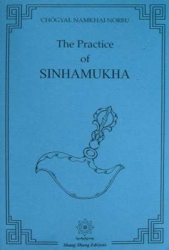 THE PRACTICE OF SIMHAMUKHA