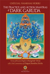 The Practice and Action Mantras of Dark Garuda